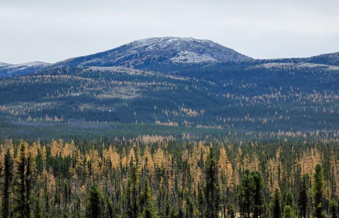 Creation of the Nibiischii National Park | The largest natural lake in Quebec will be protected