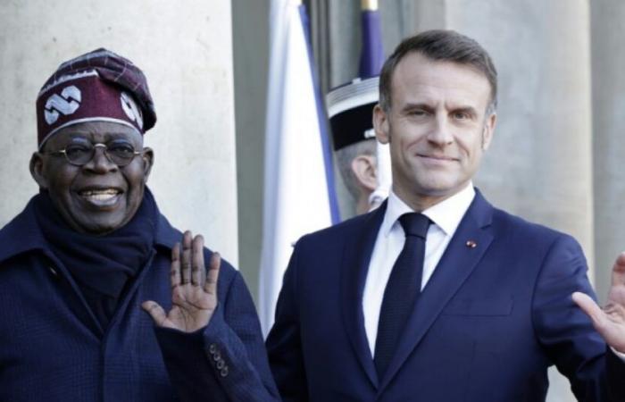 Nigeria and France strive to strengthen their economic cooperation: News