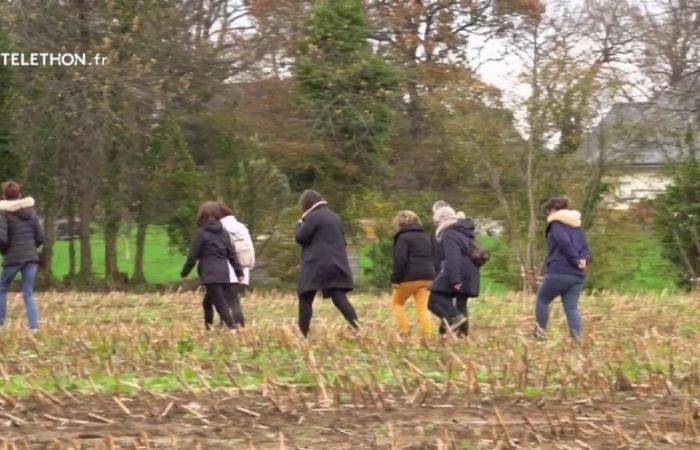 800 people mobilized in Côtes-d’Armor