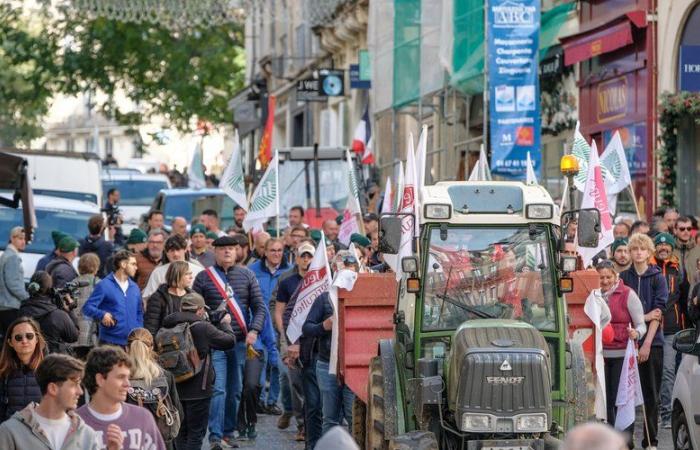 Anger of farmers: the FNSEA announces a new mobilization “everywhere in France”, here are the dates of the next demonstrations