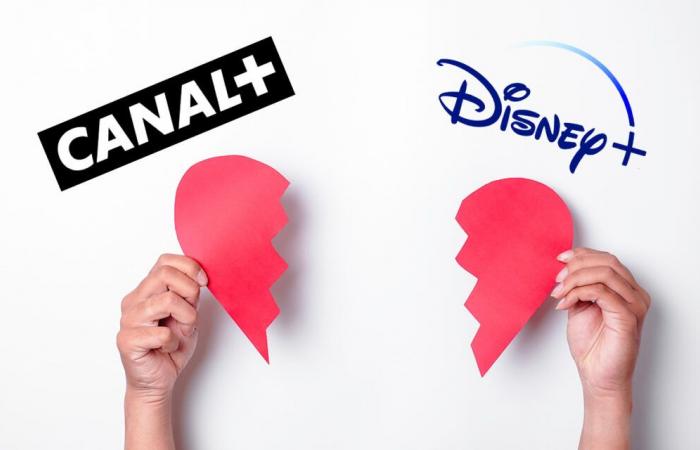 Canal+ subscribers can say goodbye to Disney+ and a bunch of TV channels