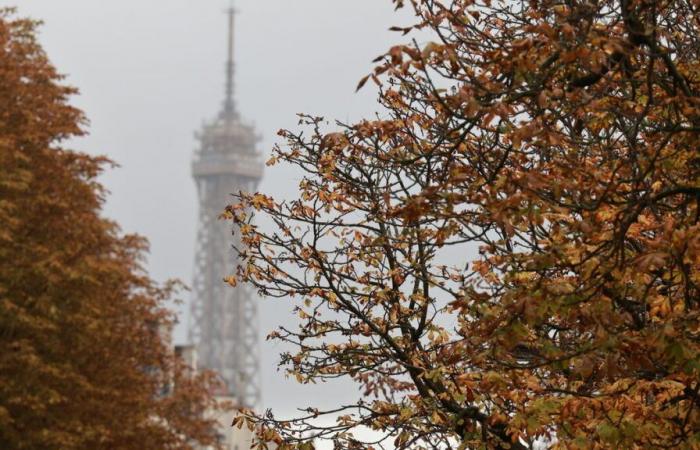 Sun, cool temperatures in the North-East, high elsewhere: the weekend weather in France