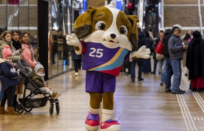 Maddli, a Saint Bernard puppy, mascot of the women’s Euro in Switzerland