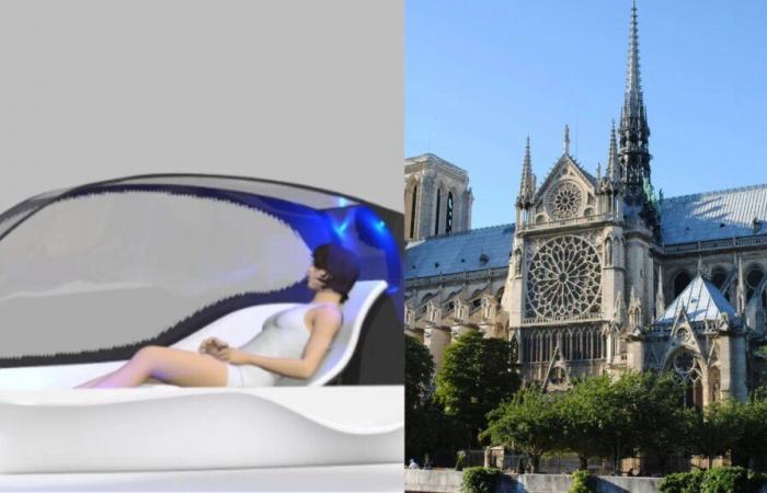 A “person wash”, the brand new Notre-Dame de Paris Cathedral and a new treatment for asthma: this is the Recap that Reassures