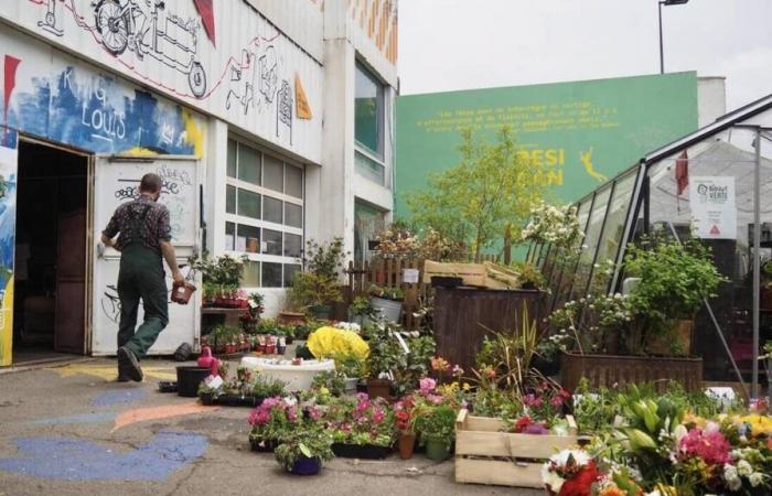 the Green Brocante, in Nantes, has just been awarded an award