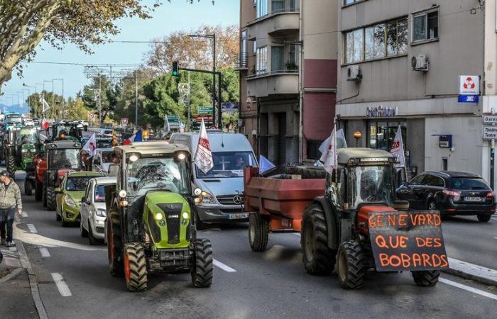 Anger of farmers: tractors soon to return to the streets, FNSEA calls for new mobilizations on December 9 and 10 “everywhere in France”