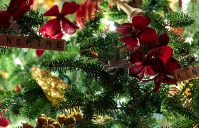 United States: a septuagenarian decorates an entire street for his wife, who suffers from Alzheimer’s disease, before Christmas: News