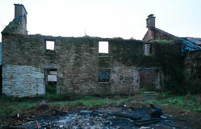 Notre-Dame-des-Landes: erasing traces of the presence of the Zadists