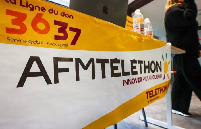 Telethon 2024: already more than 250,000 euros in pledges in Loire-Atlantique and Vendée