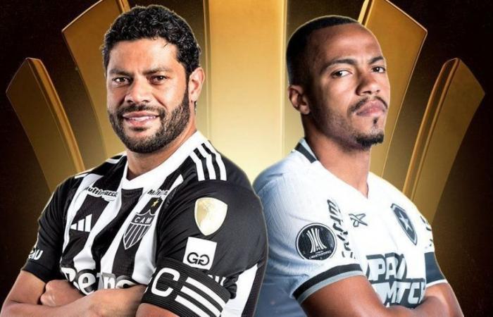 Flash expulsion of Gregore, from Botafogo, breaks Libertadores record