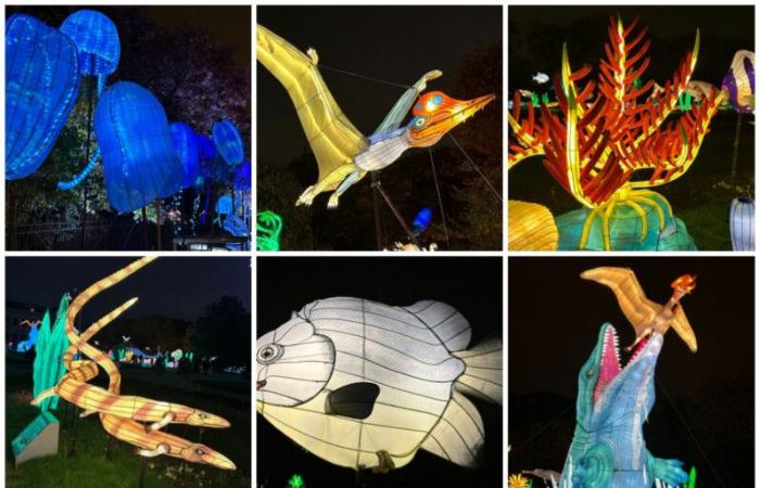 “Jurassic in the process of illumination” until January 19, 2025 at the Jardin des Plantes de Paris