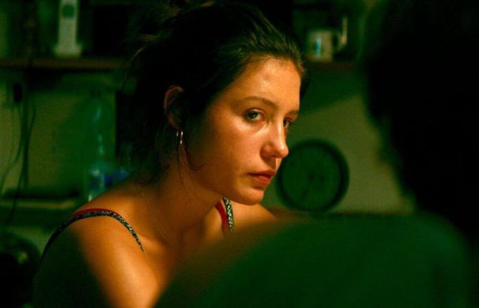 A failure at the cinema, this drama with Adèle Exarchopoulos can be seen this evening on TV