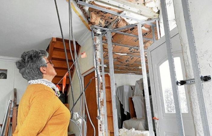 “I wondered if we should demolish the house”: dry rot is gaining ground in Brittany