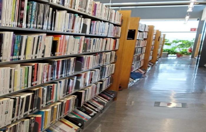 CEGEP libraries are withering away