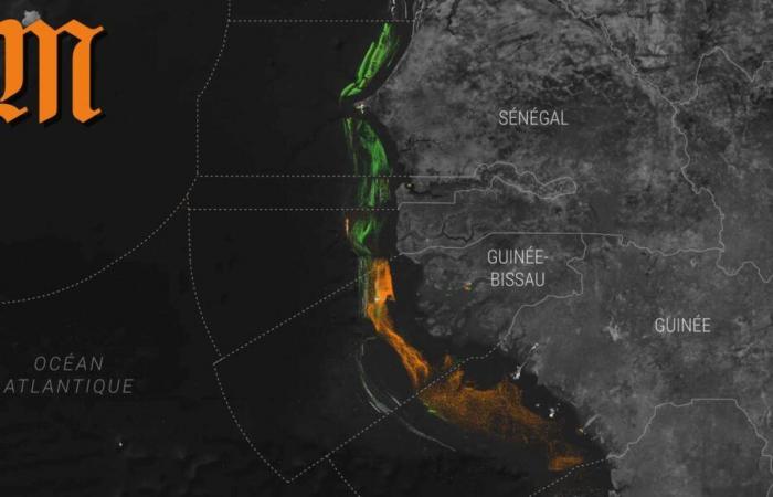 The plundered paradise of West African waters