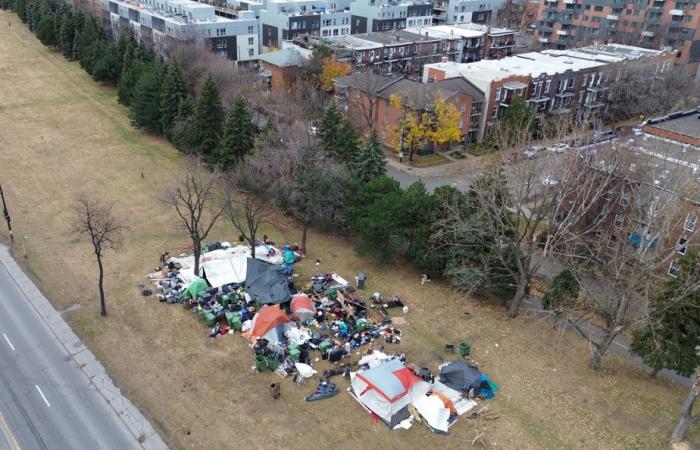 No further dismantling of the homeless encampment on Notre-Dame Street