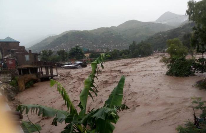 Torrential rain causes death of man and destruction of fields