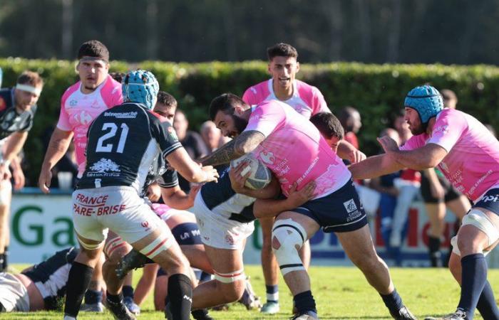 Amateur rugby – National 2: new face of AS Fleurance, young Florian Maffre gives body and soul to climb the ladder