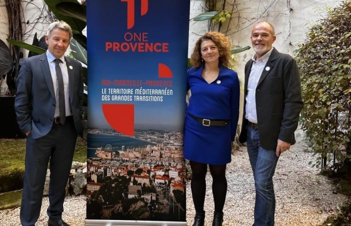 What a first assessment for One Provence, territorial marketing agency