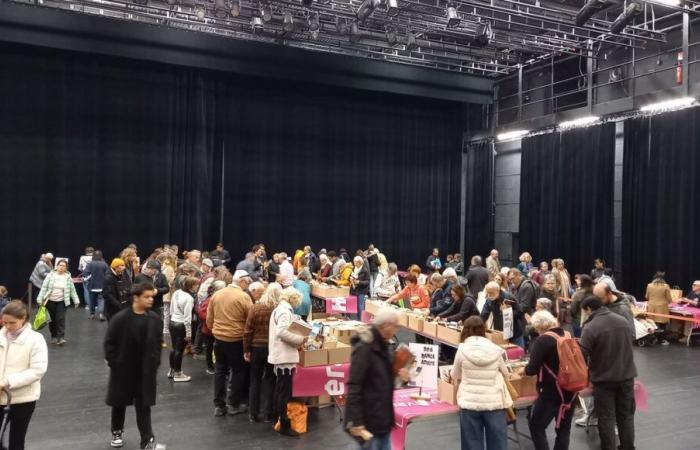 IN PICTURES – Success for the 4th edition of the book sale at the Domaine de Bayssan, in Béziers