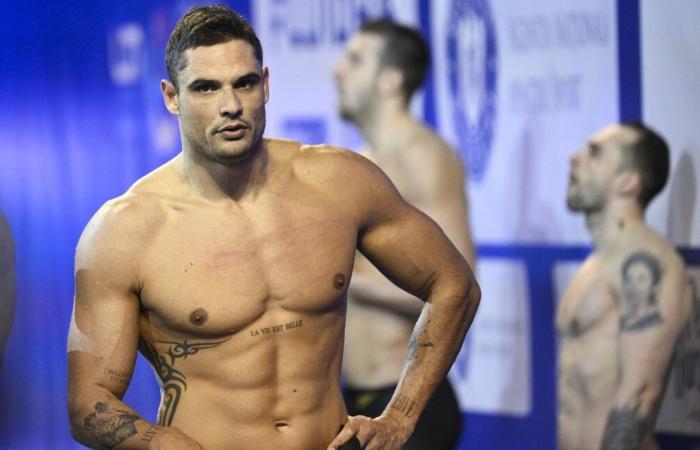 Florent Manaudou in the deep end of the TF1 show