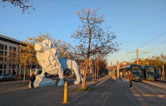 “A duty to remember”, a petition launched to rename Stalingrad Square to Ukraine Square in Bordeaux