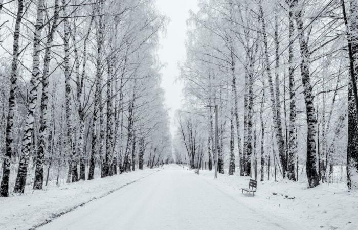 on this date, France enters meteorological winter and changes are numerous