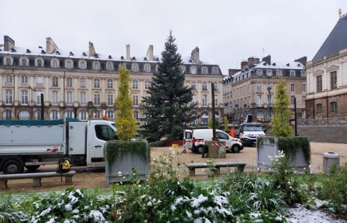 What will the weather be like at Christmas and this winter? The first trends from Météo-France