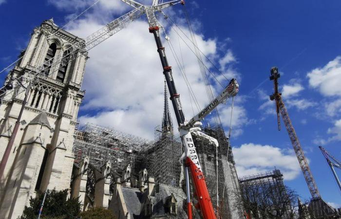 Notre-Dame-de-Paris: stonemasons, sculptors… these artisans from Occitanie took part in the titanic construction site of the cathedral