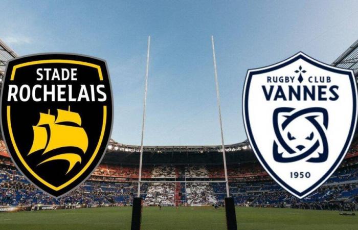 La Rochelle – Vannes: on which channel and at what time to watch the Top 14 match live?