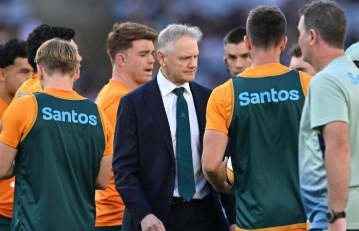 'I feel like I'm paddling hard', Joe Schmidt returns to Ireland with rebuilding Australia