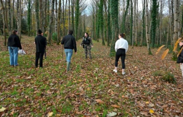 Teenage girl missing in Brittany: nearly 800 volunteers for a hunt, the investigation continues: News