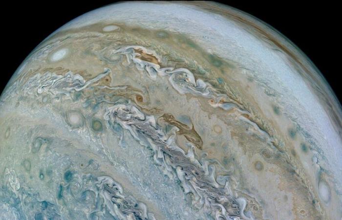 Image of a dolphin captured on Jupiter's surface by NASA's Juno probe