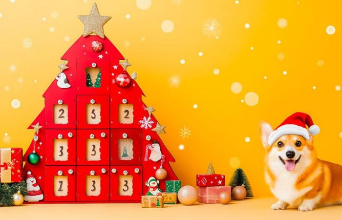 Try to win exceptional gifts with the Point de Vue Advent calendar