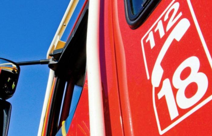 Pyrénées-Orientales: at least three dead and several seriously injured in a bus accident: News