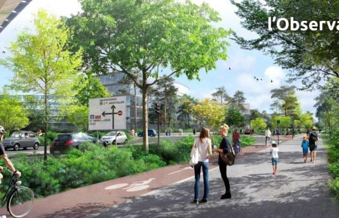 700 trees and 2.4 hectares of grass at the northern entrance to Valenciennes