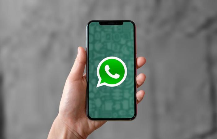 WhatsApp will stop working on around twenty phones from 2025