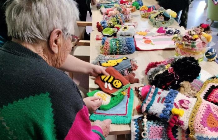 Knitting enthusiasts offer creations to residents of a Creuse nursing home to stimulate them