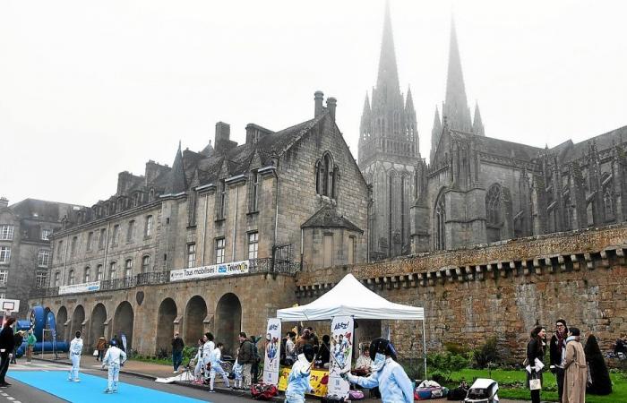 30 hours of Telethon in Quimper: the challenges met in pictures