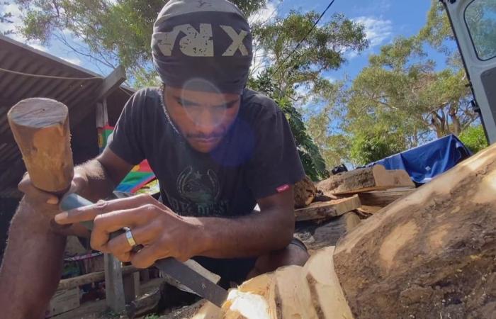 LONG FORMAT. Immersion on the East Coast to meet the sculptors of New Caledonia