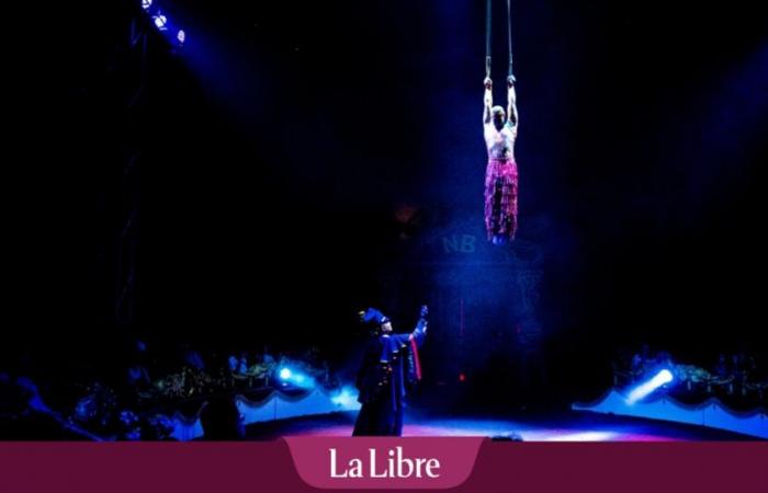 The real life of circus people, Nicolas Bouglione confides: “We're not rolling in gold, but it's an exceptional life”