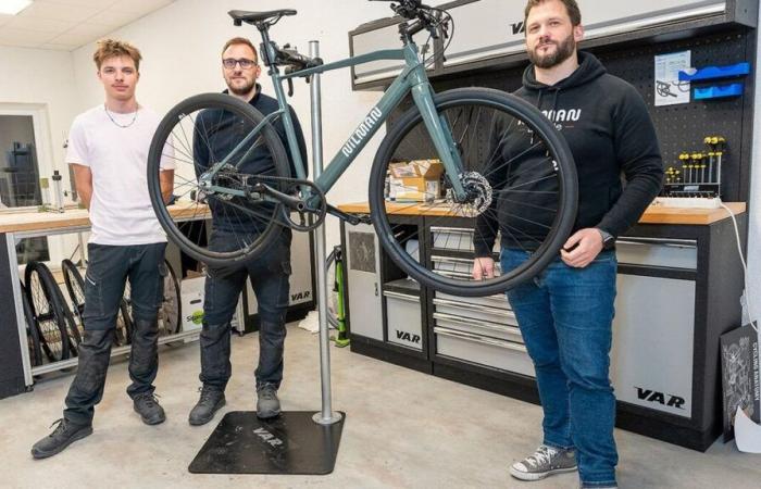 “My business is in mortal danger”: who stole the carbon bike prototypes?