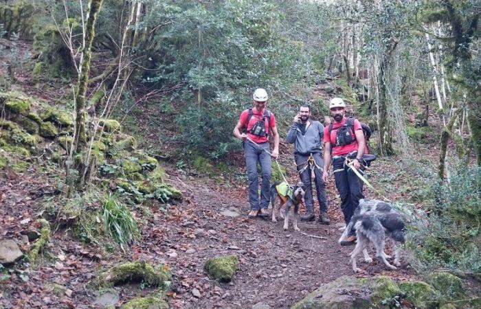 Three dogs stranded on a rock ledge during a hunting trip rescued by firefighters