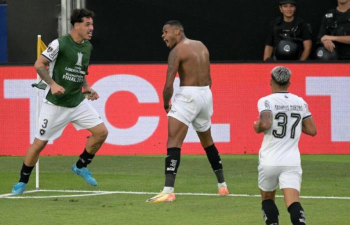 John Textor's Botafogo crowned champion, good news for OL