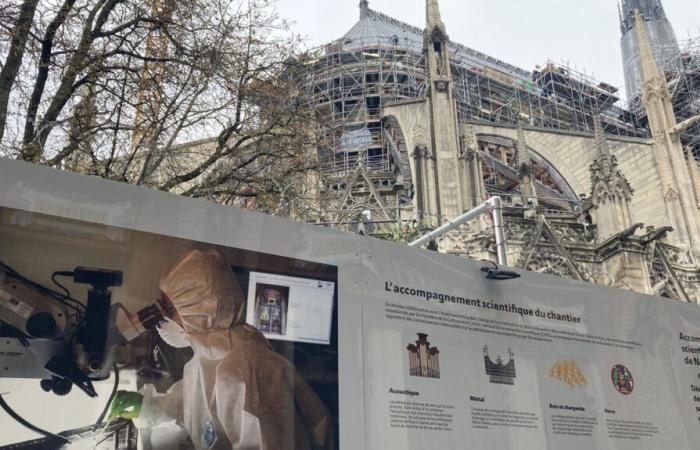 Will Notre-Dame de Paris one day have its own museum?