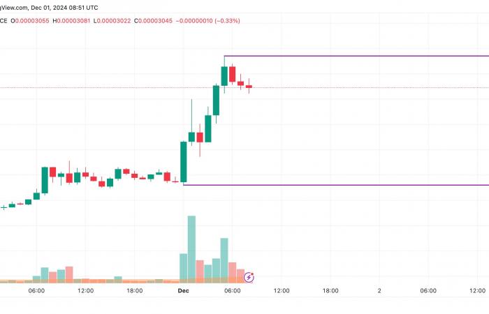 SHIB Price Prediction for December 1