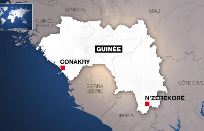 numerous deaths after a football match in N'Zérékoré