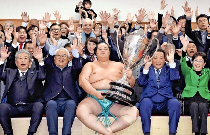 Kotozakura, new sumo star, this may be a detail for you…