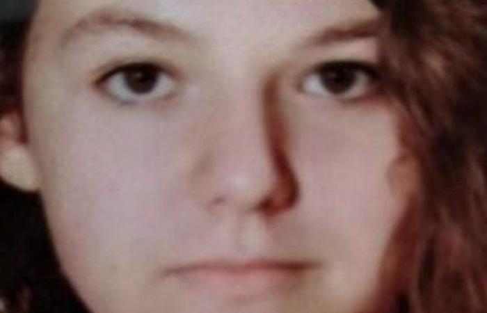 Disappearance of Morgane near Guingamp: the teenager still nowhere to be found, 50 gendarmes mobilized to the area around her school