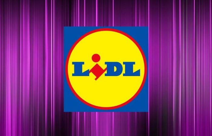 Discover these 3 Lidl gems at low prices during Black Friday